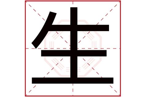 生字五行|生字五行属什么